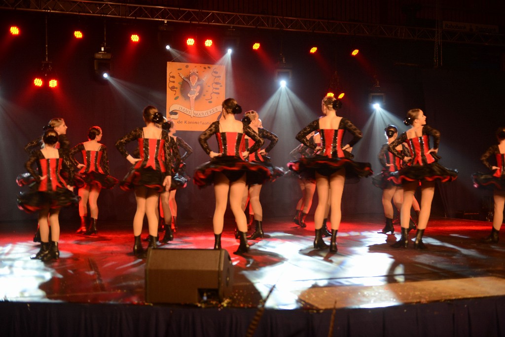 ../Images/Dansmarieke Festival 2016 137.jpg
